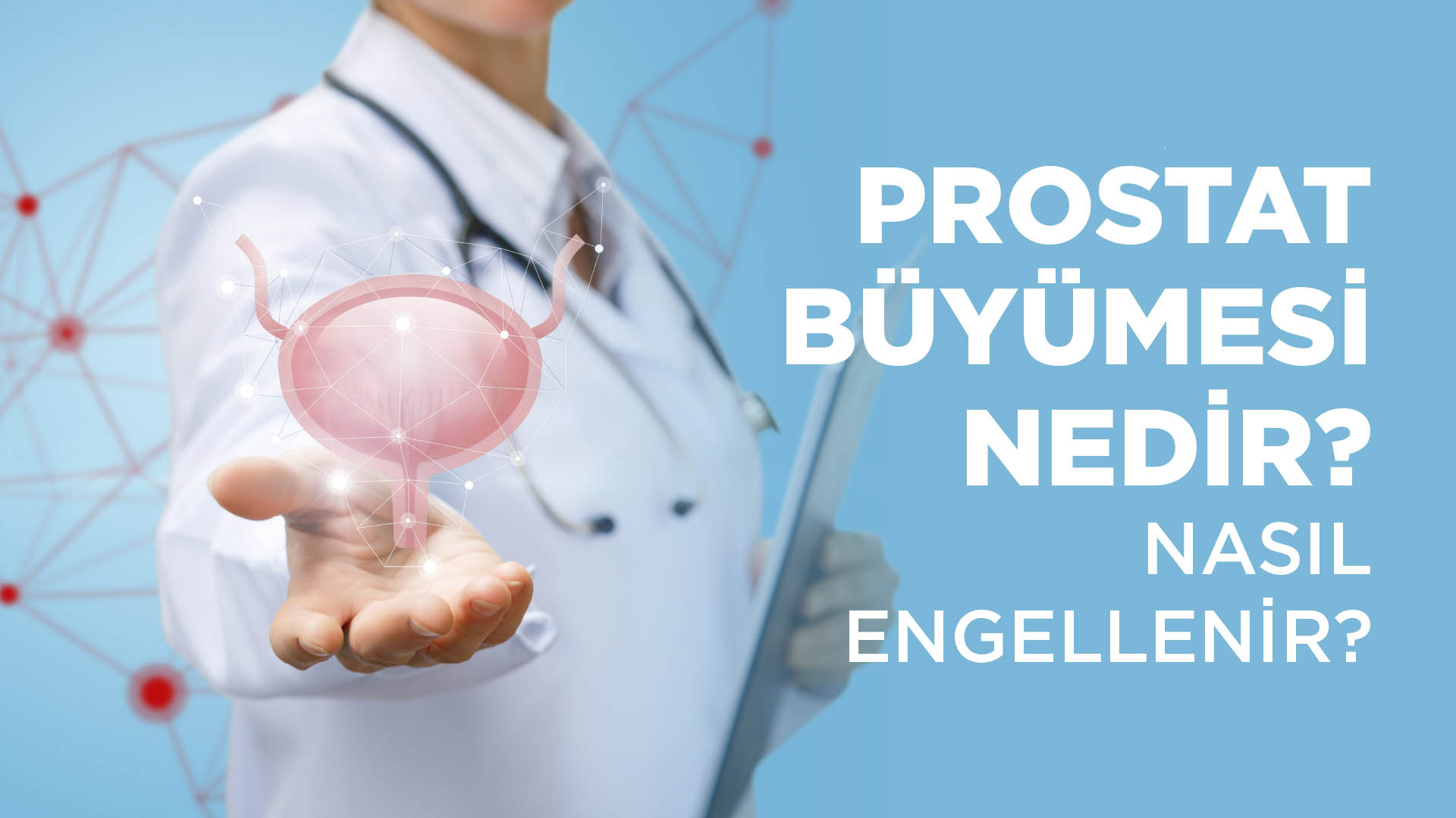 Prostat Büyümesi Nedir, Neden Olur? Belirtileri ve Tedavisi - Vitafenix