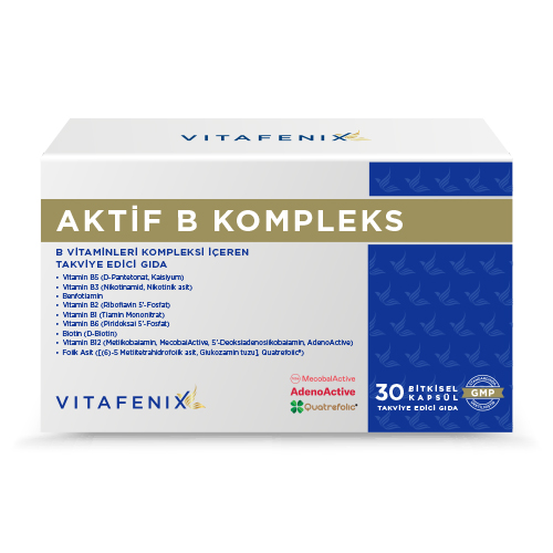 AKTIF-B-KOMPLEKS